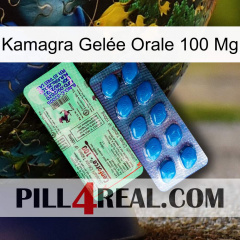 Kamagra Gelée Orale 100 Mg new02